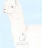 Patrick the Alpaca - Blank Card - Image 1