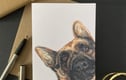 Dogs