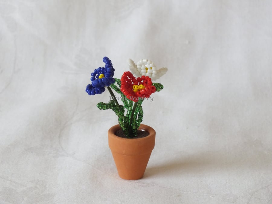 Red, White and Blue Miniature Flowers in a Pot