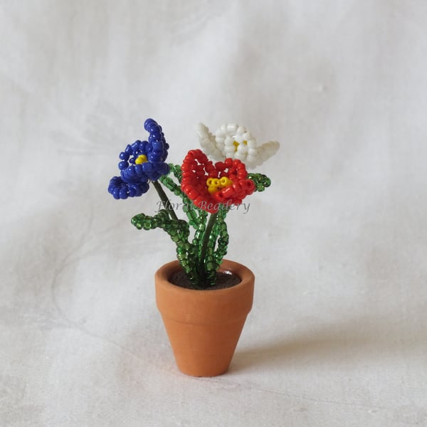 Red, White and Blue Miniature Flowers in a Pot