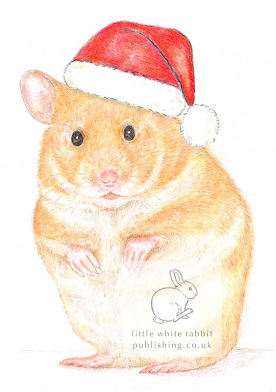 Daisy the Hamster - Christmas Hat Card