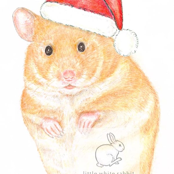 Daisy the Hamster - Christmas Hat Card