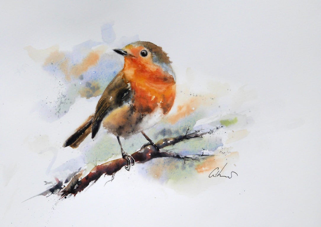 Robin, Original Watercolour Painting.