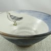 Ceramic bowl with yellow legged gull image - handmade pottery