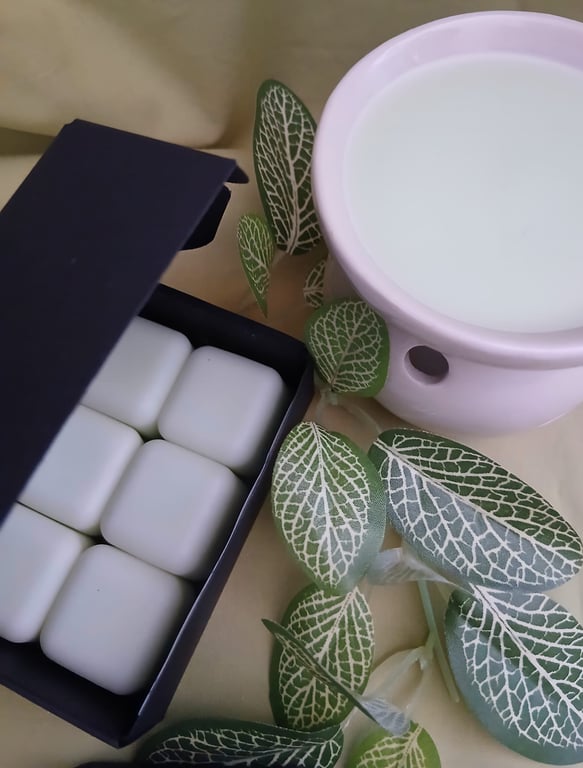 Handmade Mint Wax Melts Fresh & Aromatic
