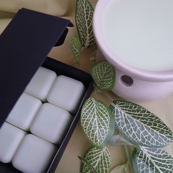 Handmade Mint Wax Melts Fresh & Aromatic