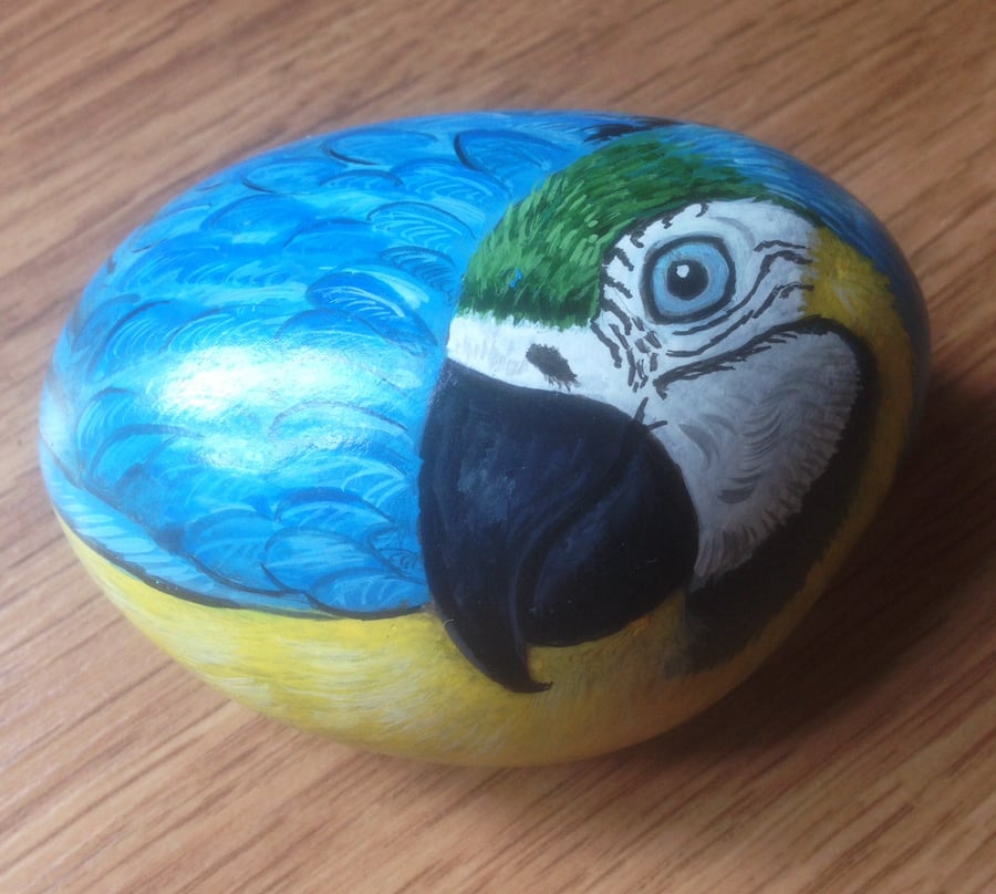 Parrot hand painted on rock 