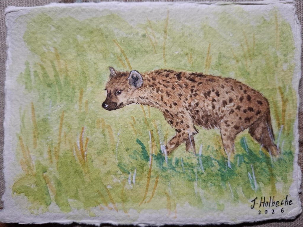 Hyena Original Watercolour Painting A6