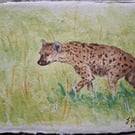 Hyena Original Watercolour Painting A6