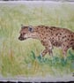 Hyena Original Watercolour Painting A6