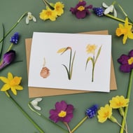 Daffodil Greetings Card, Spring Card, 