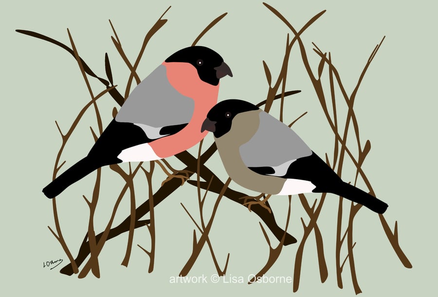 Bullfinches - bird art print - garden birds