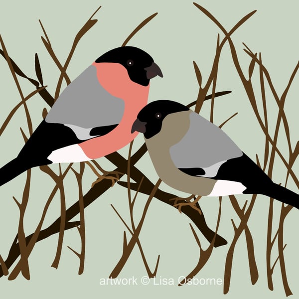 Bullfinches - bird art print - garden birds