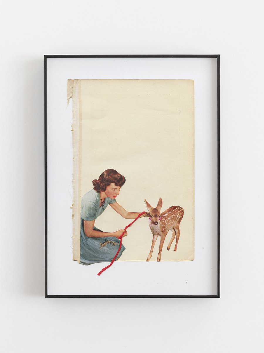 Fawn Art Print - Rescue
