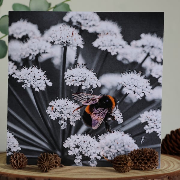 The Bumblebee - Blank Greetings Card