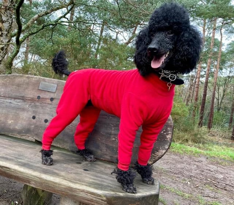 Canis Fleece Suit - Size 12" - 22"
