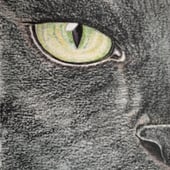 Black Cat Artist 2