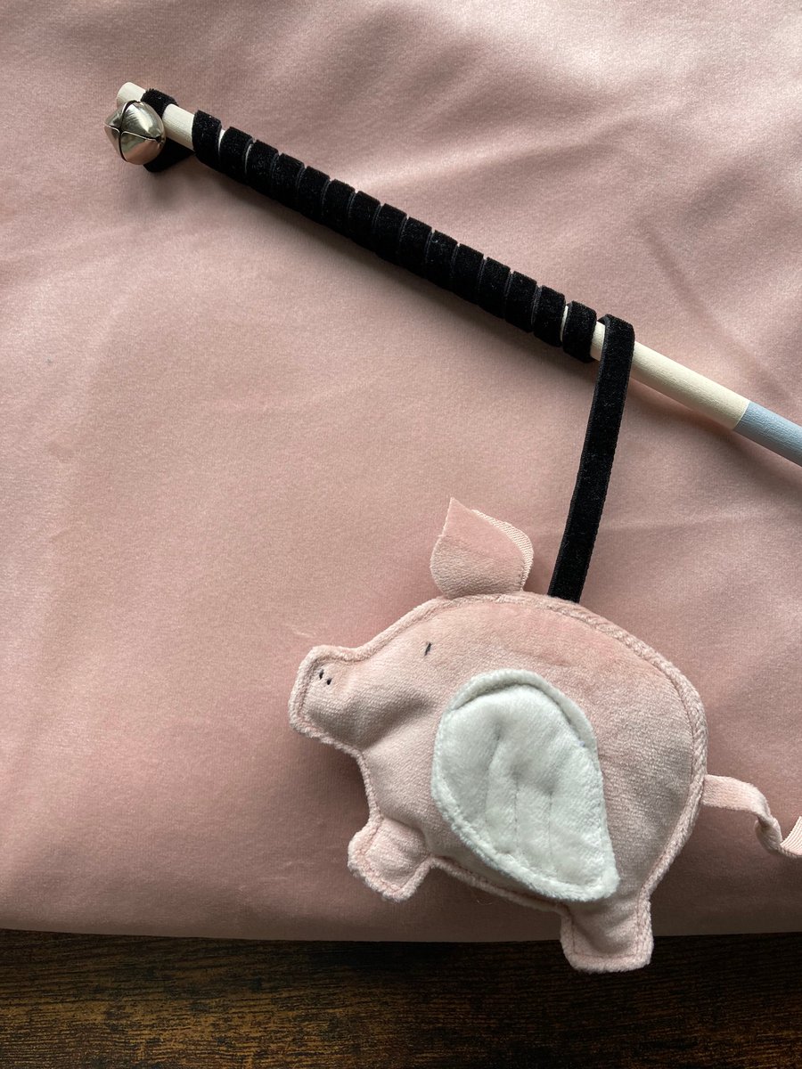 Pig store cat toy