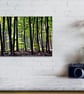 Blackwood Forest Winchester Hampshire Photograph Print - Image 4