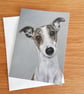 Whippet Dog Cards blank, pack of 3 designs - Image 3