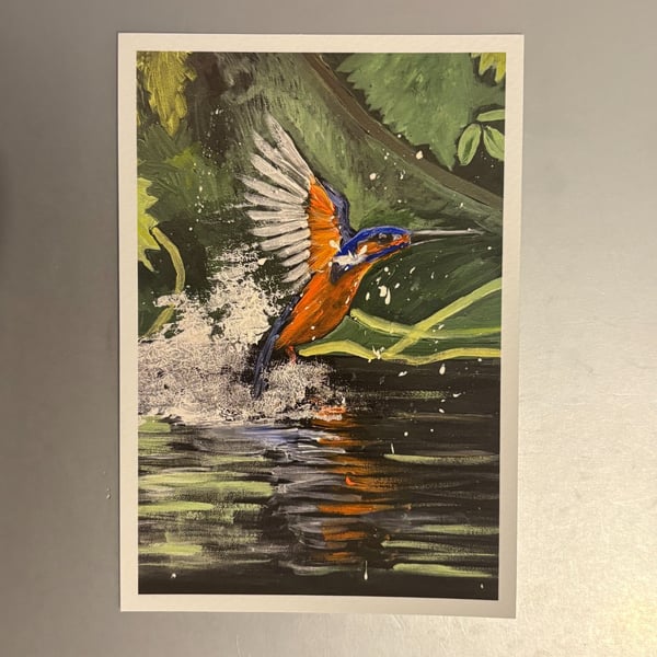 Flying Kingfisher on Riverbank Small Fine Art Print 