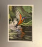 Flying Kingfisher on Riverbank Small Fine Art Print 