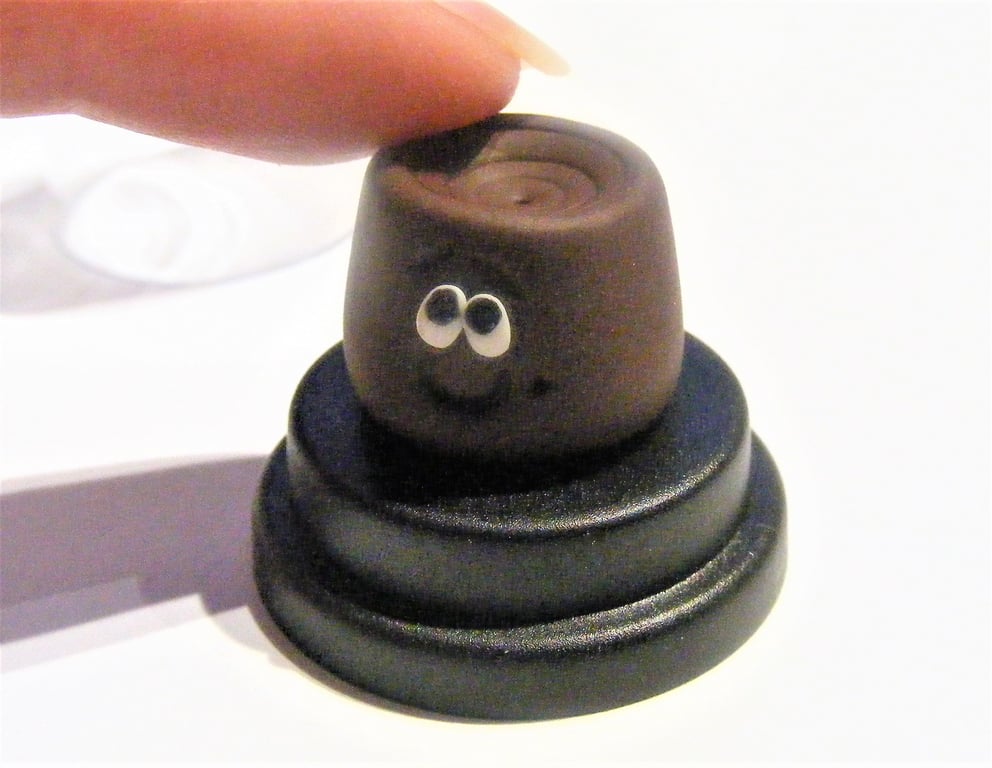 Pet Rolo inspired, Chocolate lover gift, Gift for her, Gift for him