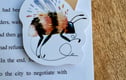 Magnetic Bookmarks 