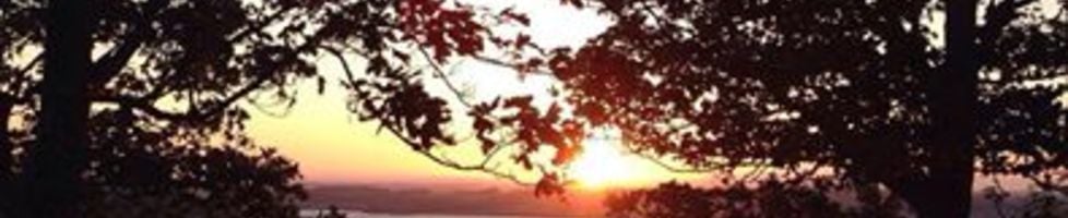 Samantha Rotherham Designs