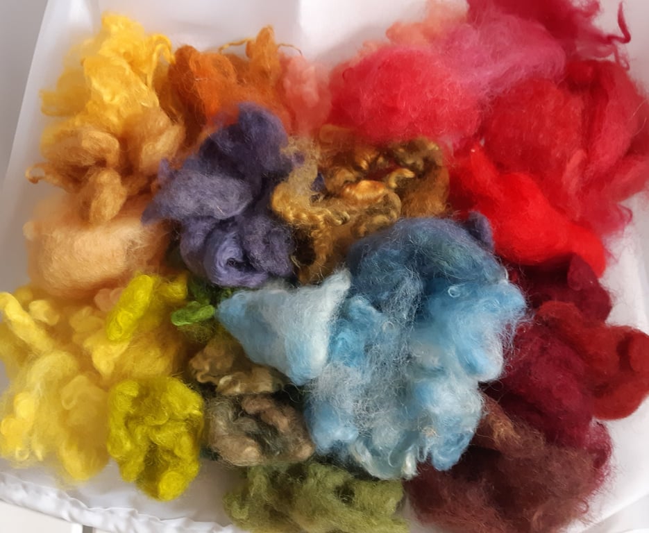 Plant and cochineal dyed Cotswold fleece 