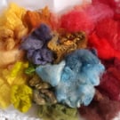 Plant and cochineal dyed Cotswold fleece 