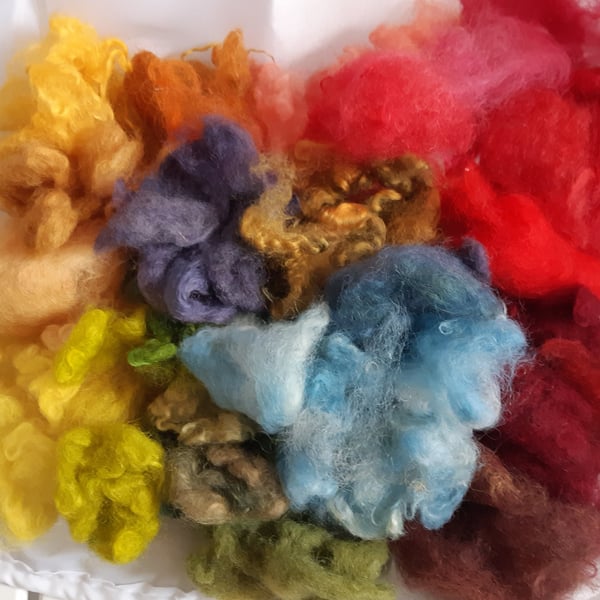 Plant and cochineal dyed Cotswold fleece 