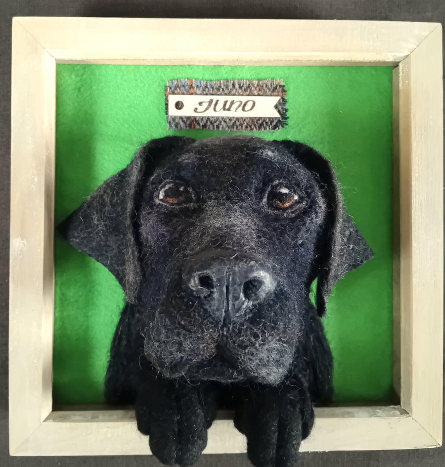 Personalised Pet Portrait