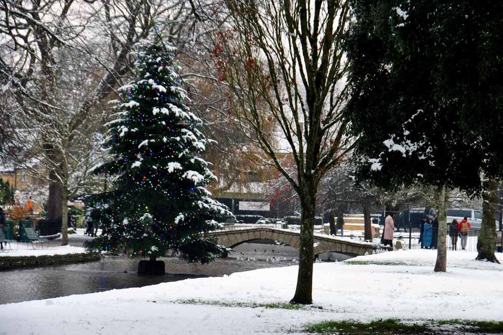 Bourton On The Water Christmas Tree Photograph Print