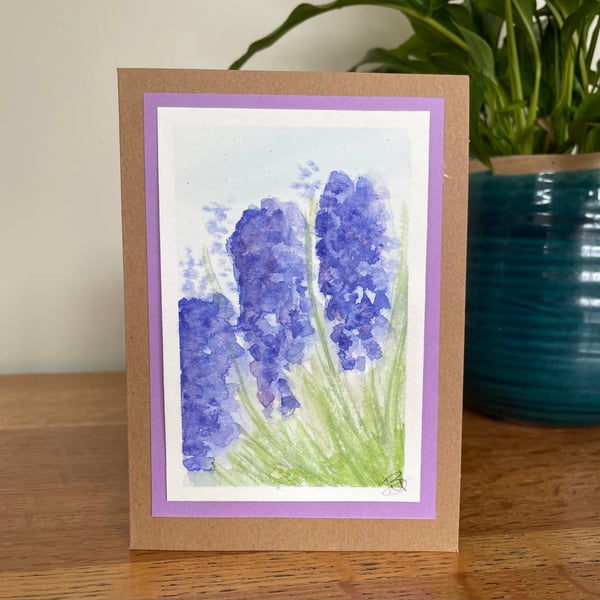 Cards, Greeting card, birthday card, hyacinth, floral, original artwork.
