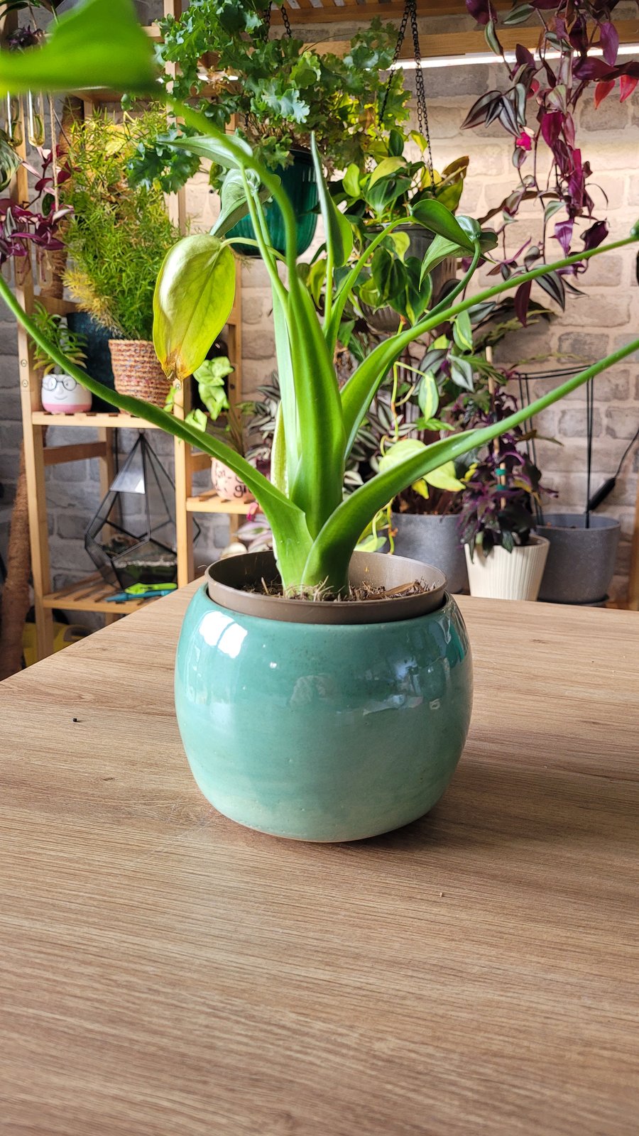 Aqua green plant pot