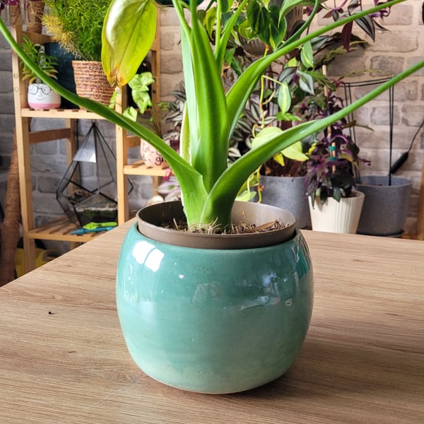 Aqua green plant pot