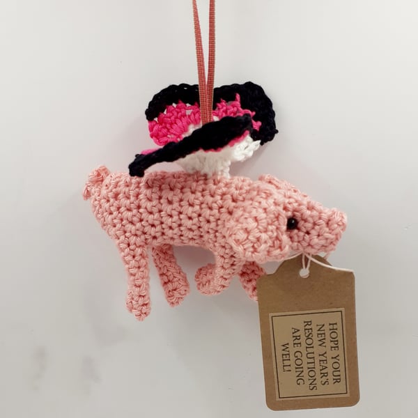 Crochet Flying Pig