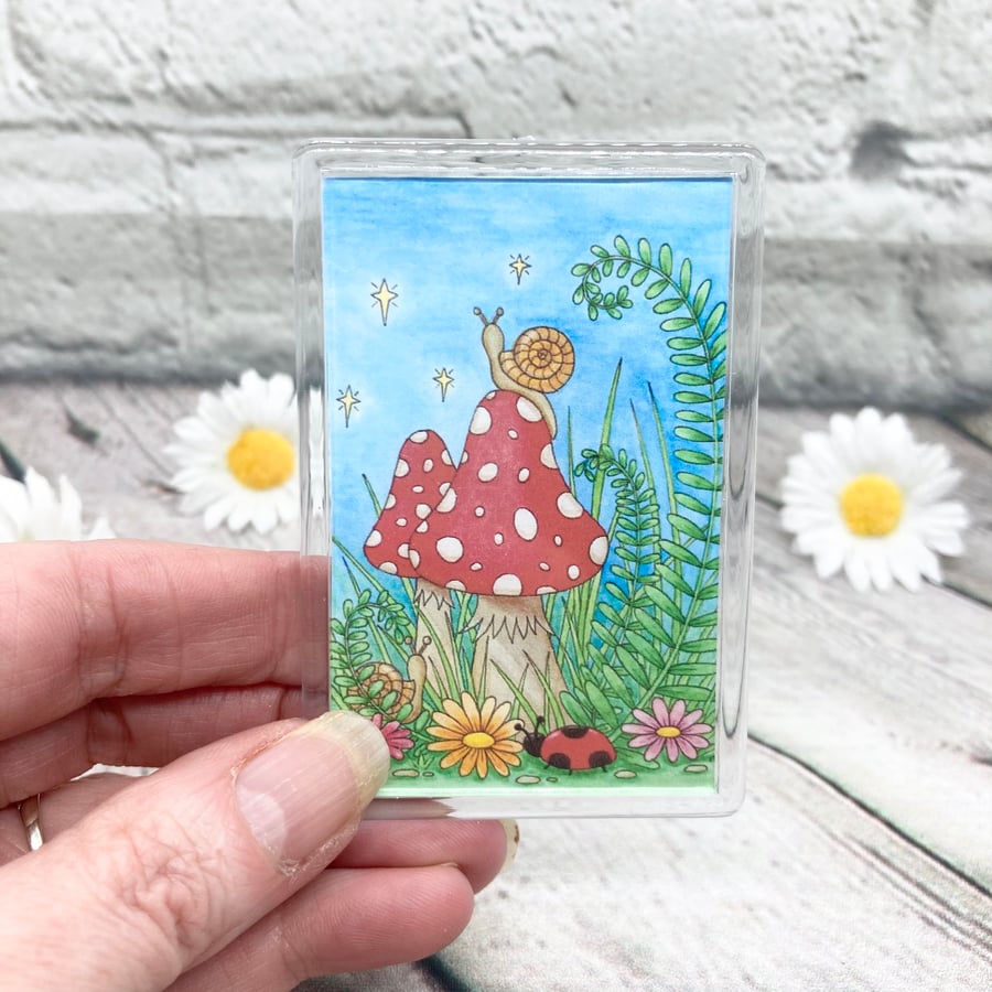 Fridge Magnet - Toadstool selection - Acrylic Fridge Magnet 