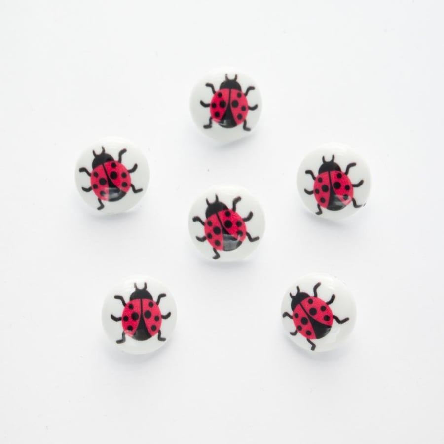 10 Ladybird picture buttons, crochet and knitting supplies 