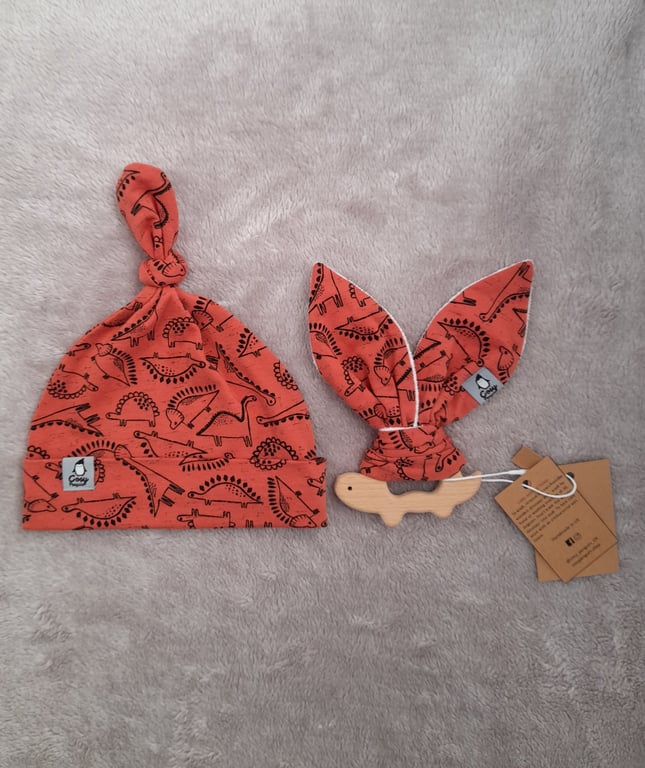 ROAR-ange Dinosaur Gift Set 2