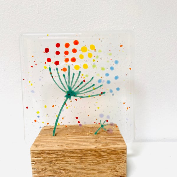 Fused Glass Rainbow Dandelion, Freestanding in a wooden block