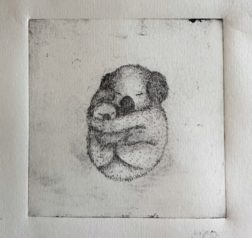 Koala Mother And Baby Drypoint Print