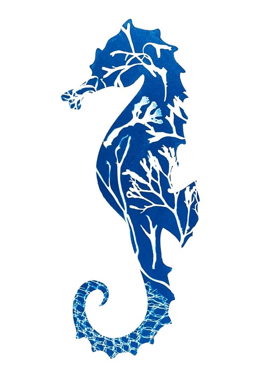 Seahorse Cyanotype Card