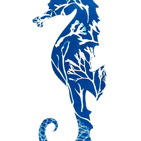 Seahorse Cyanotype Card