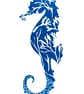 Seahorse Cyanotype Card