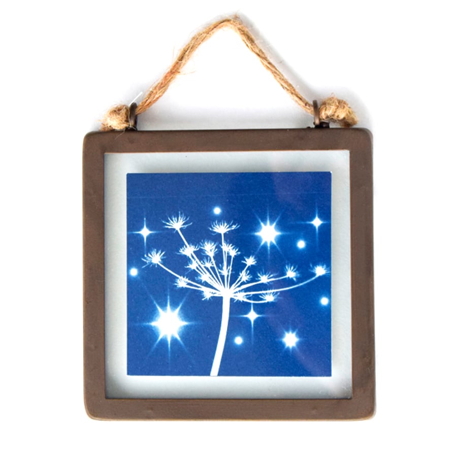 Starry Seed Head Cyanotype in industrial style metal and glass square frame