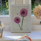 Purple alliums, framed original watercolour painting 