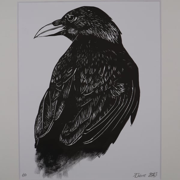 Raven Hand Printed and Finished Lino Print, Mounted and Signed