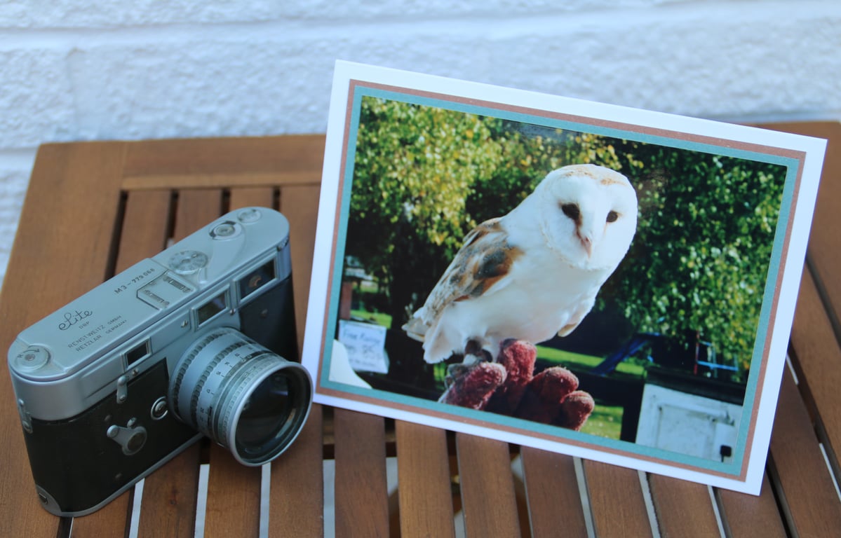 Barn Owl photographic card, blank card, 8x6" card with envelope